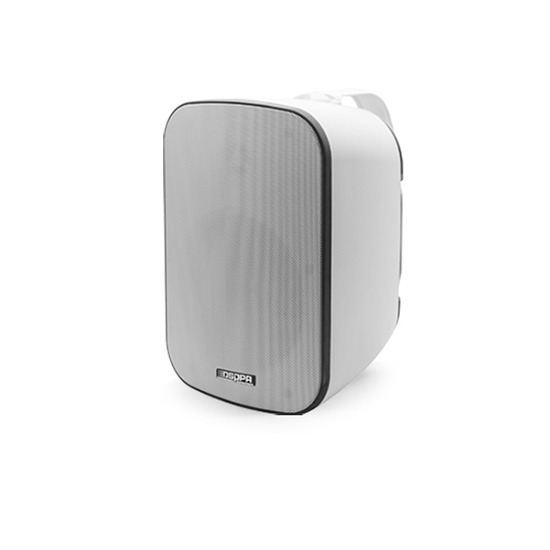 DSP5040 40W IP66 Waterproof Outdoor Speaker