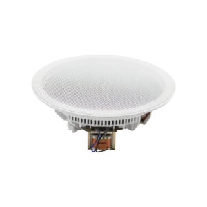 DSP8011 Boks Tavanor 10W 20cm
