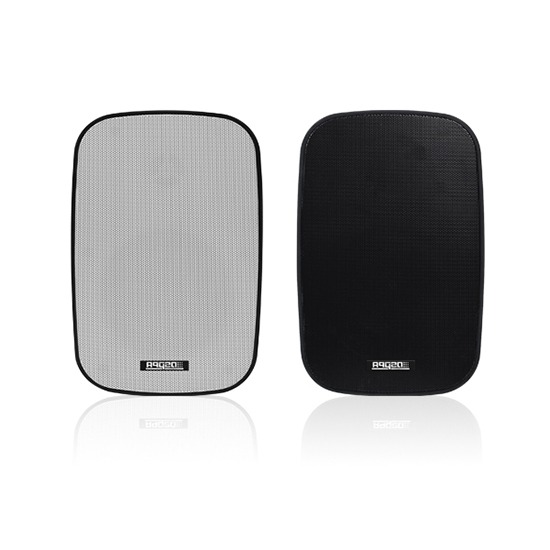DSP5040 40W IP66 Waterproof Outdoor Speaker - Image 3